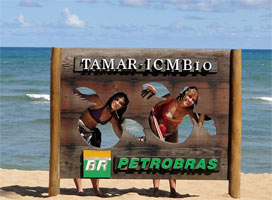 Baha (Brasil) - Praia do Forte - Proyecto Tamar