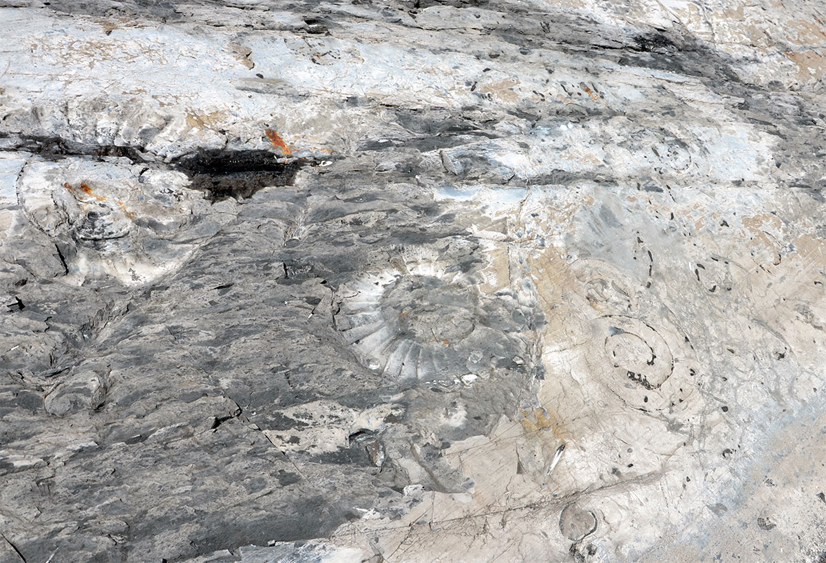 Estancia Cristina - Cañadon de los fósiles - Calafate